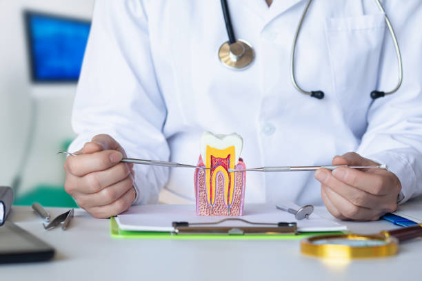Best Emergency Dental Care for Broken or Chipped Teeth in Olney, TX